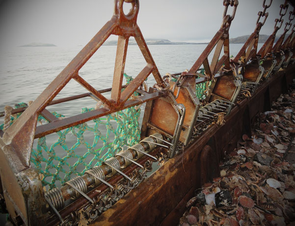 Fishing Boat